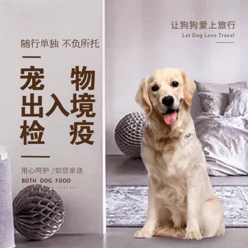 金华市宠物托运到哥伦比亚猫狗宠物入境规定和