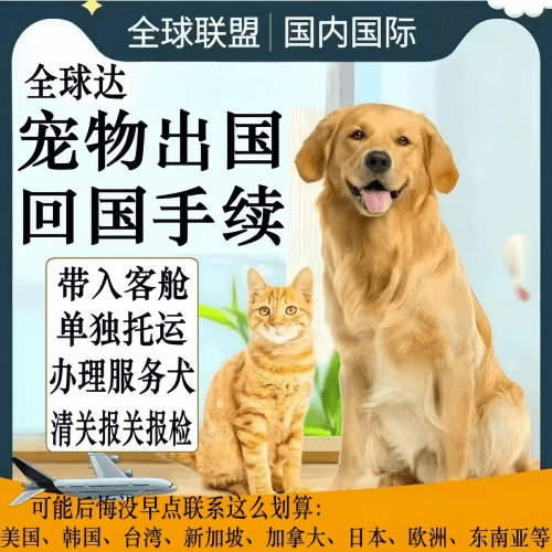 金华市宠物托运到柬埔寨宠物入境规定和要求