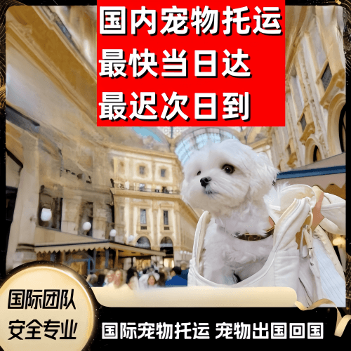 金华市到澳大利亚（澳洲）宠物入境规定和要求