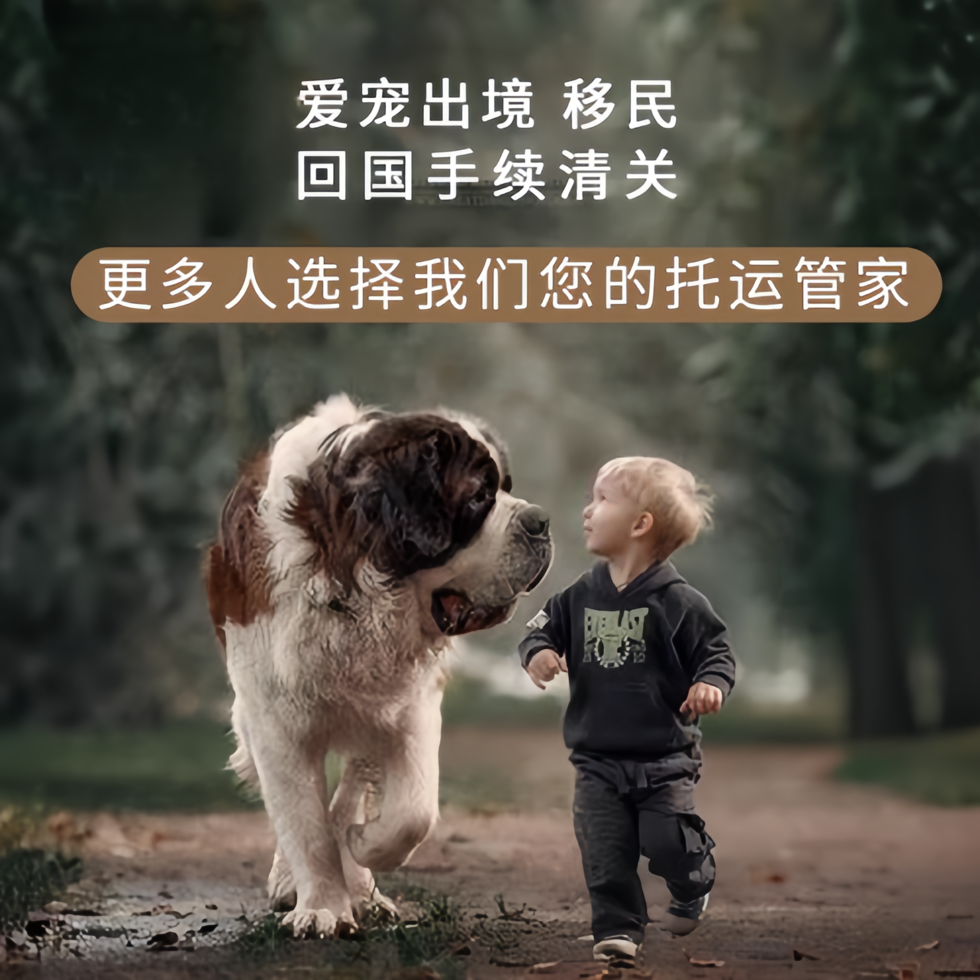 满财金华市宠物全球达宠物托运在遵守入境目的地政策的条件