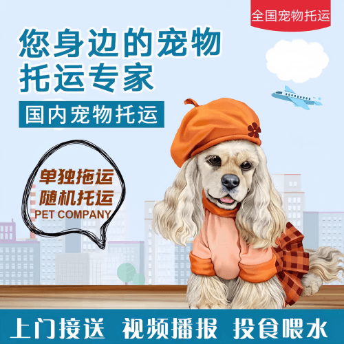 满财金华市宠物全球达宠物托运作为专业的宠物运输代理机构